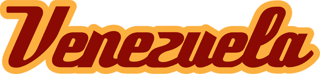 Venezuela 2006-Pres Wordmark Logo iron on transfers for clothing